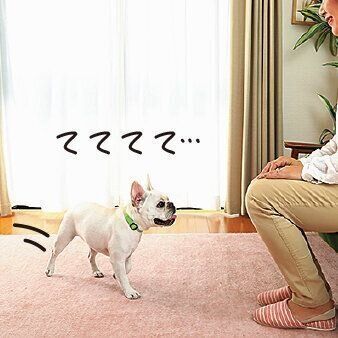 撮影／尾﨑たまき