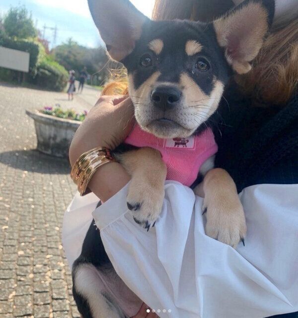 ななちゃんと初対面したときの様子