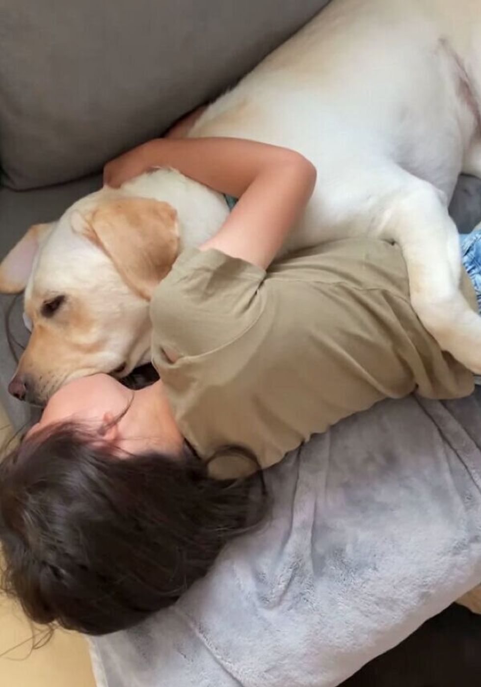 抱き合って眠る犬と女の子 お互い 自分のほうがお姉ちゃん だと思っている関係が微笑ましい いぬのきもちweb Magazine 抱き合って眠る犬と女の子 お互い 自分のほうがお姉ちゃん だと思っている関係が微笑ましい いぬのきもちweb Magazine