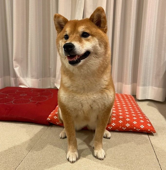 笑顔が可愛いアンちゃん