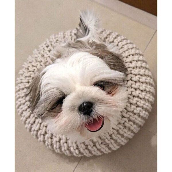 笑顔が可愛いうめまるくん