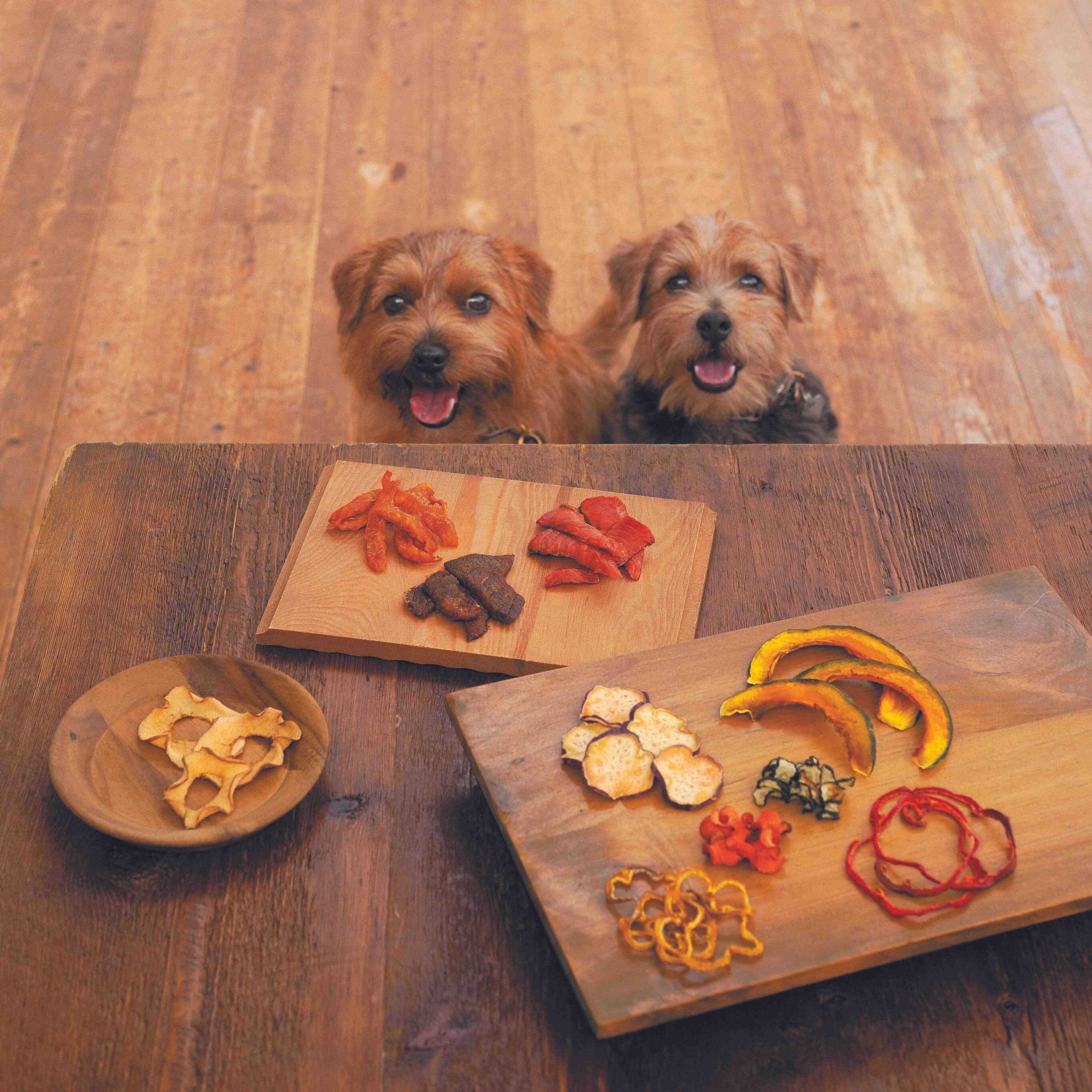 撮影／中川文作