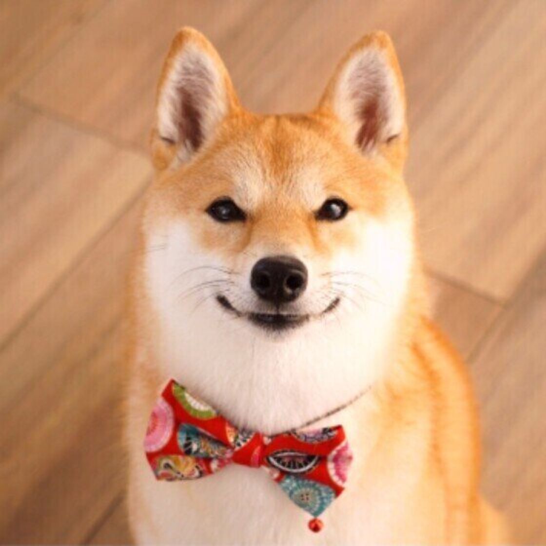 Nheigpi2av1vwm Nheigpi2av1vwm