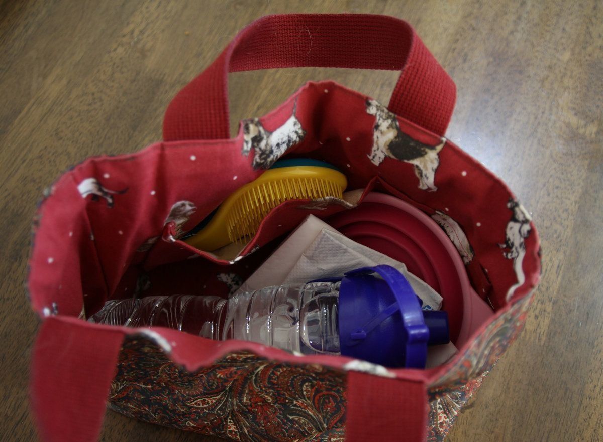 いぬのきもちレポート