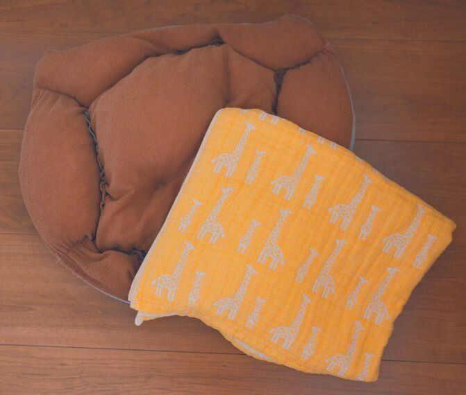 撮影／犬丸美絵