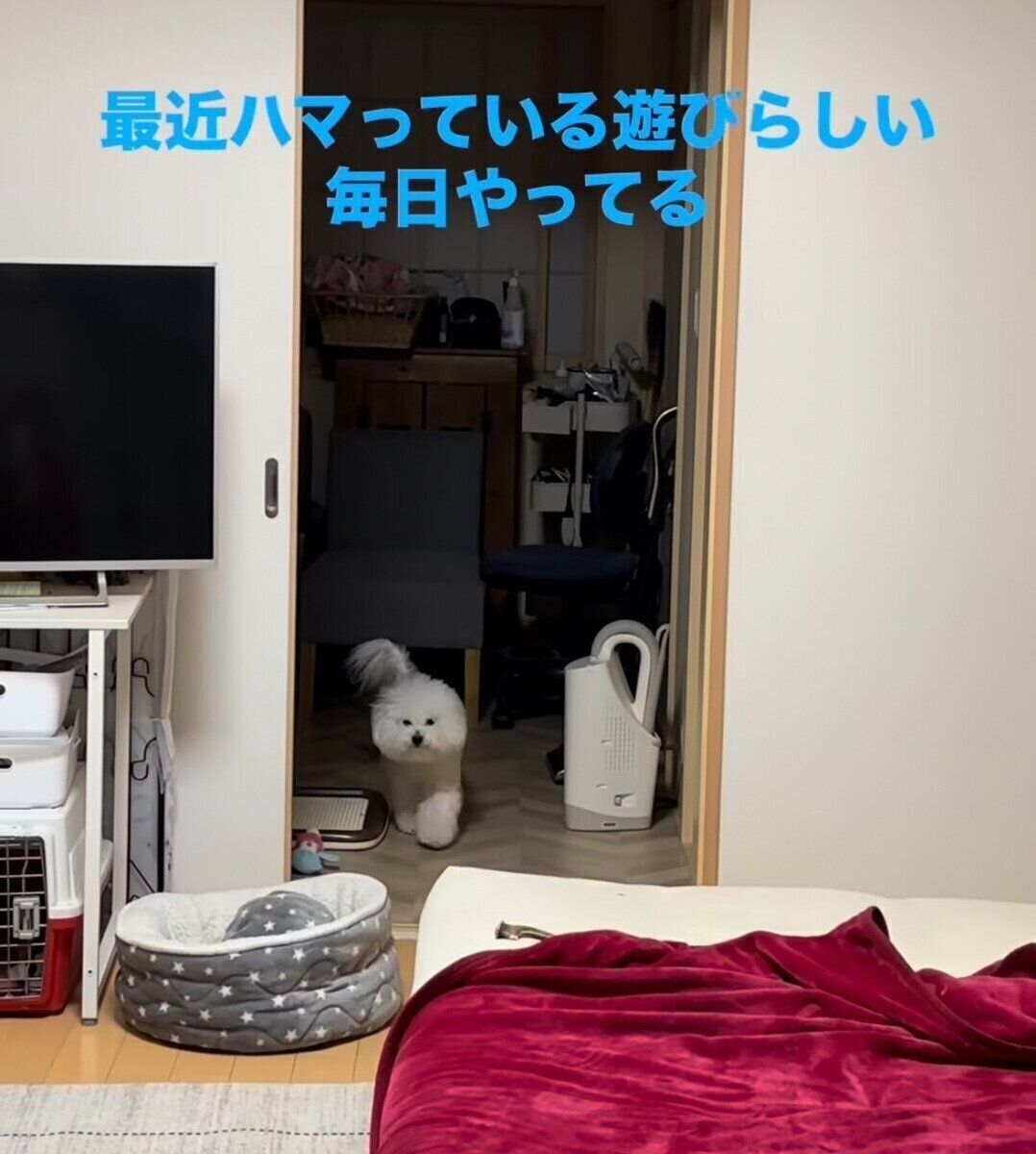 そろりそろりと歩くメルちゃん