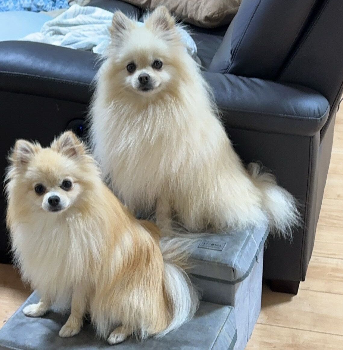 カメラを見るゆきとくんとたぬくん