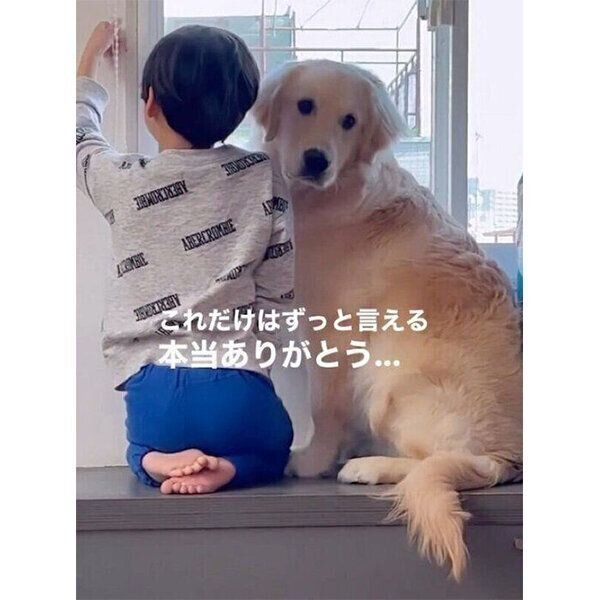 仲良く外を見るテオくんと息子さん