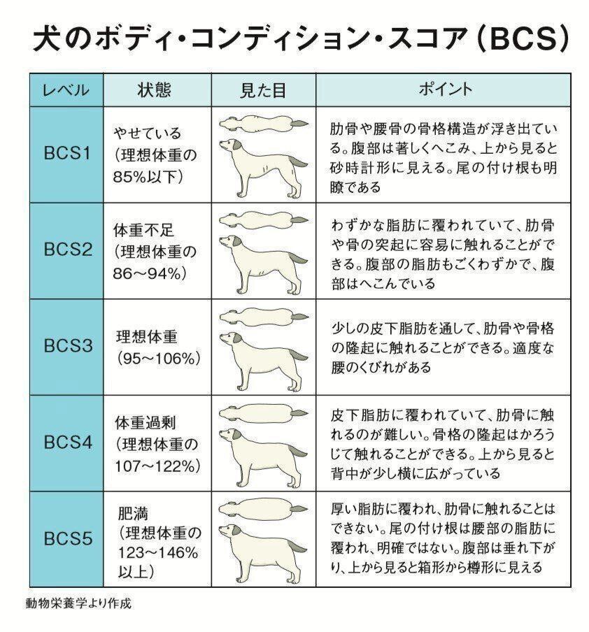 「ボディコンディションスコア（BCS）」で体型チェックができる