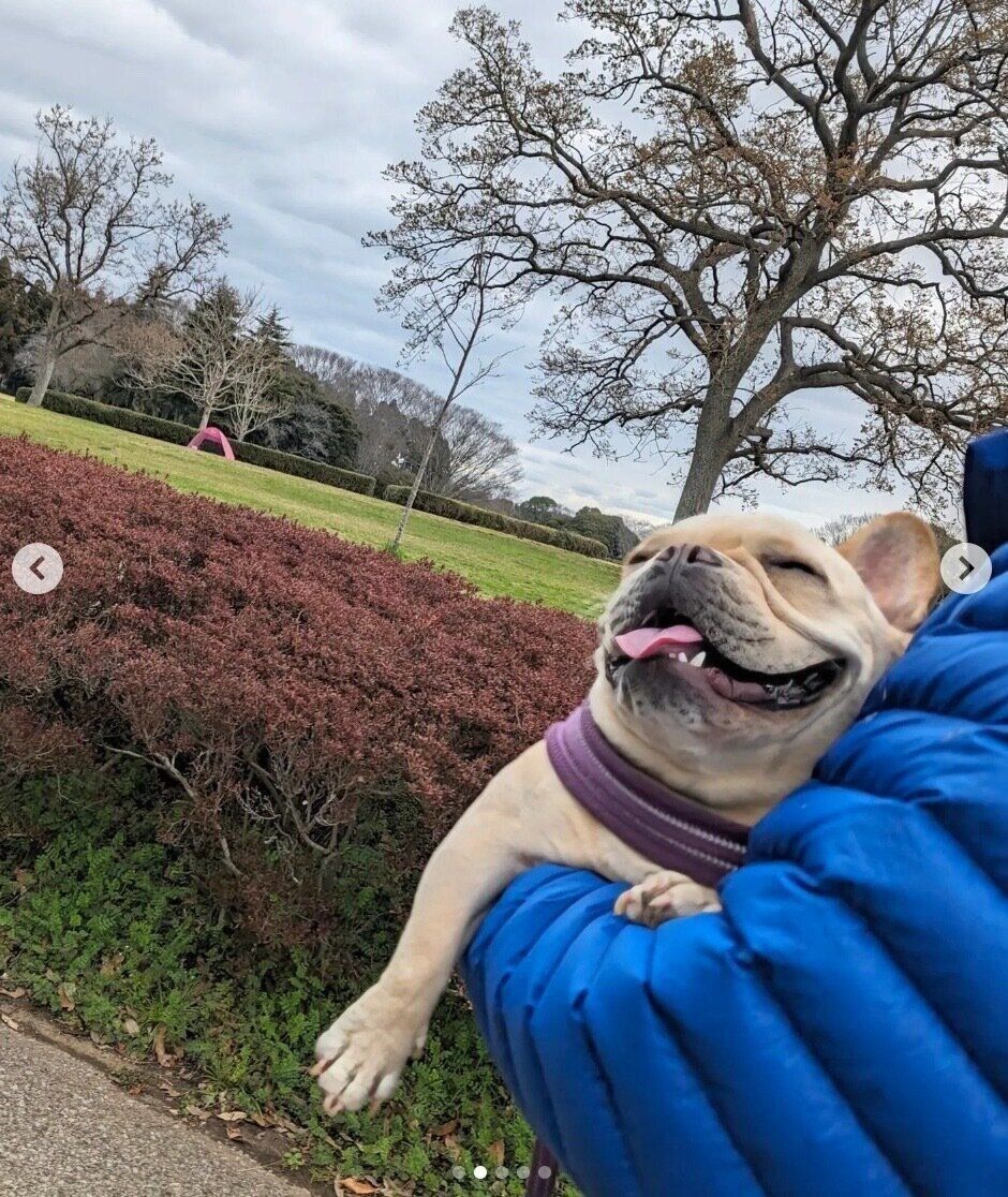 楽しそうな桜丸くん