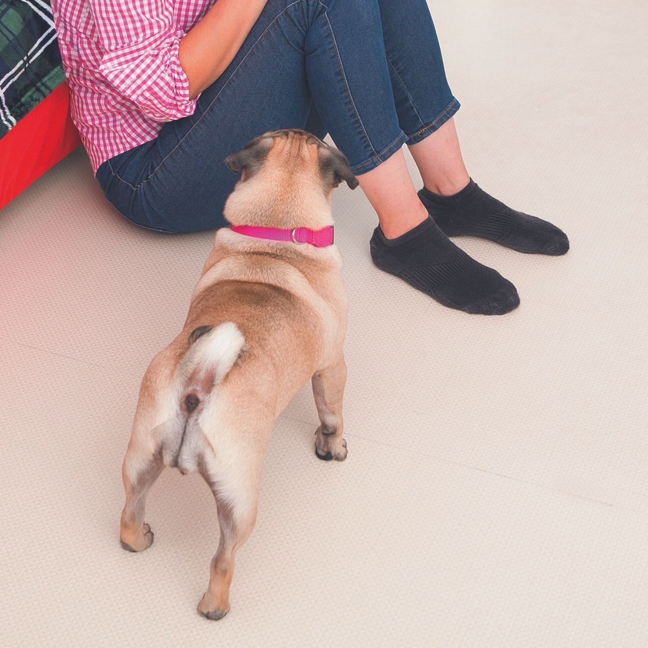 飼い主さんのことをよく観察しているから、ちょっとした変化にも気づく