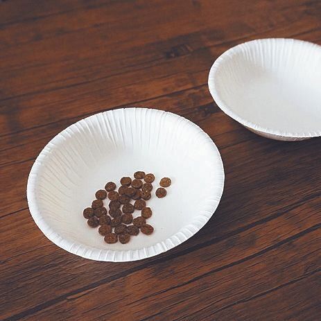 「食器はほとんど割れてしまい、人にも犬にも紙皿があればよかった。ポリ袋などの消耗品も何かと必要になります」