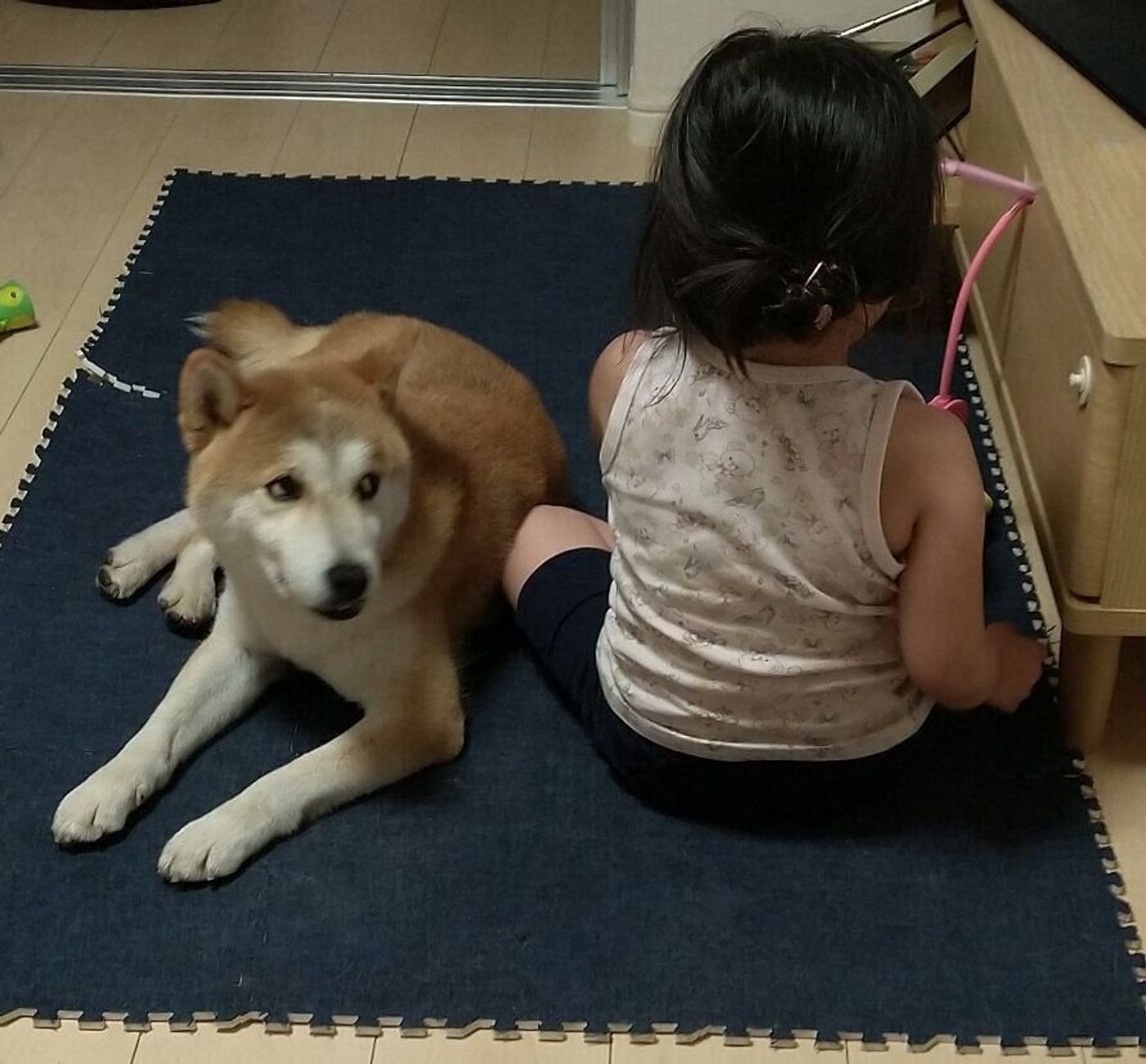 柴犬タロさんの白目が見える時はどんな時 連載 モフモフ柴とプニプニ娘 第130話 いぬのきもちweb Magazine 柴犬タロさんの白目が見える時はどんな時 連載 モフモフ柴とプニプニ娘 第130話 いぬのきもちweb Magazine