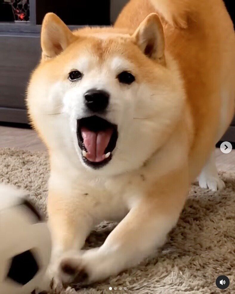 迫ってくる福来くん