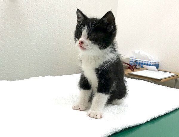 病院につれてきてもらったむーくん