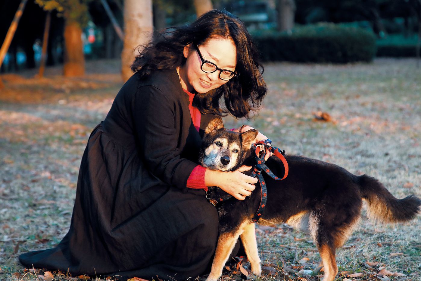 犬の生活の質を重視する アニマルレフュージ関西 とは いぬのきもちweb Magazine 犬の生活の質を重視する アニマルレフュージ関西 とは いぬのきもちweb Magazine