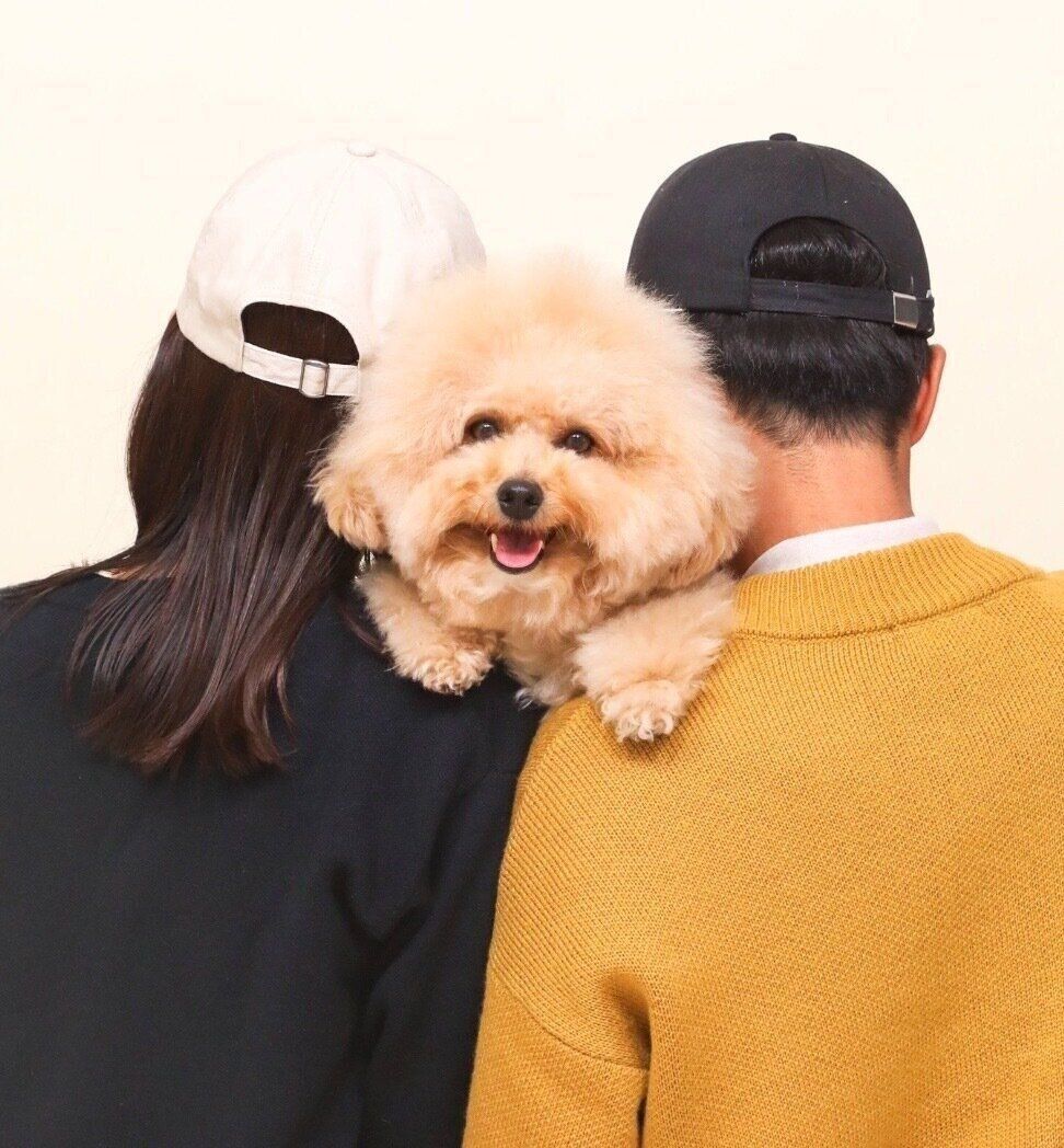 最高の笑顔を見せるポテチくん