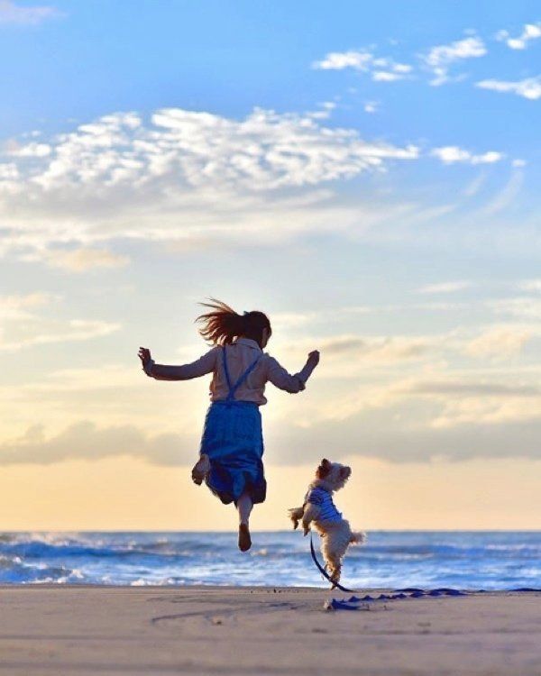 トイ・プードルのZappyちゃん