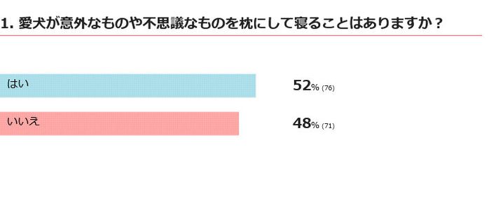愛犬は意外なものを枕にする?