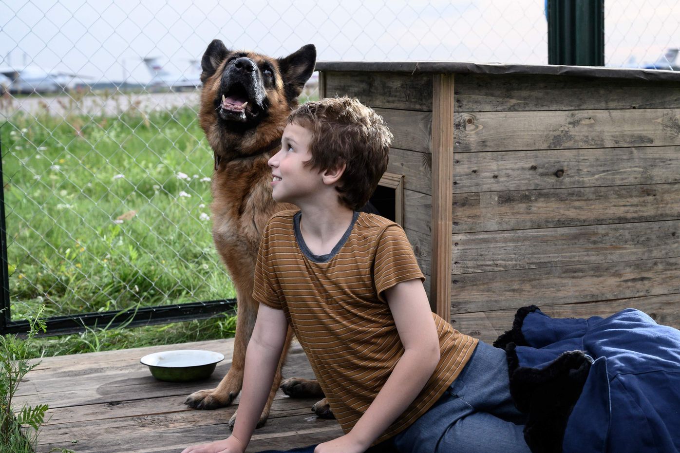 Pr 映画 ハチとパルマの物語 愛犬が映画のパンフレットに載るチャンス いぬのきもちweb Magazine Pr 映画 ハチとパルマの物語 愛犬が映画のパンフレットに載るチャンス いぬのきもちweb Magazine