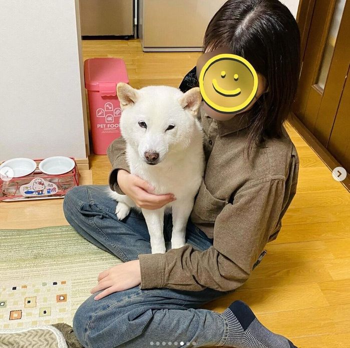 娘さんに抱っこしてもらうきなこちゃん