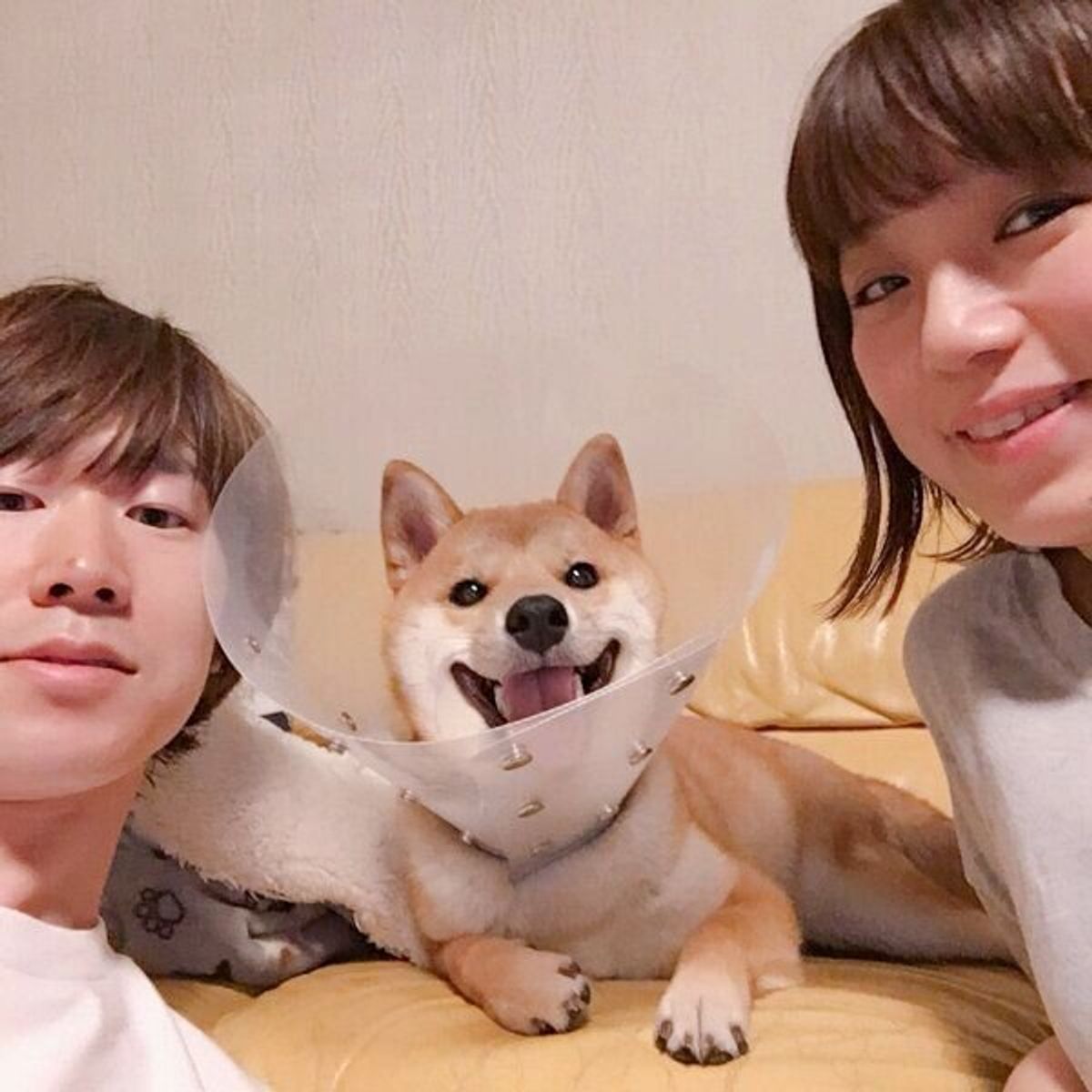 妹ちゃんとのコンビで大人気 りんご郎くんはラッキーボーイで特別な存在 特別企画 スマイルドッグ 愛犬にありがとうを叫ぼう いぬのきもちweb Magazine 妹ちゃんとのコンビで大人気 りんご郎くんはラッキーボーイで特別な存在 特別企画 スマイルドッグ 愛犬にありがとうを叫ぼう いぬのきもちweb Magazine