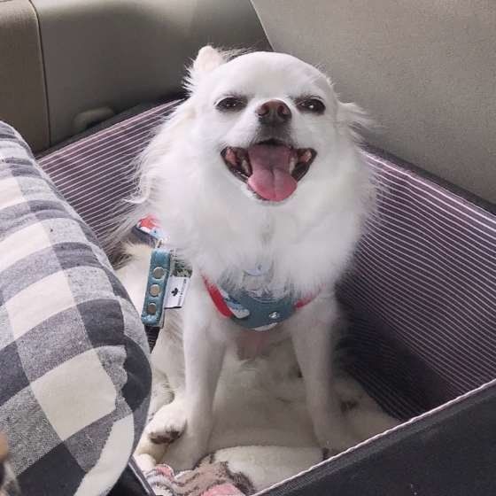 笑顔のミルクくん