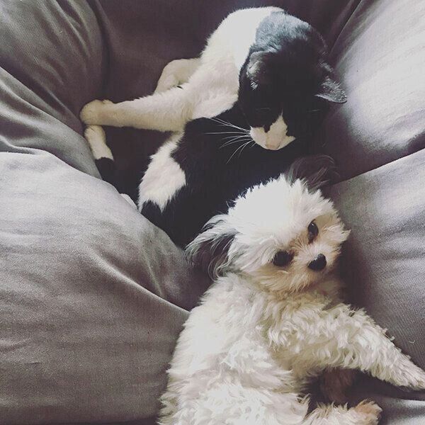 くつろぐカマンちゃん