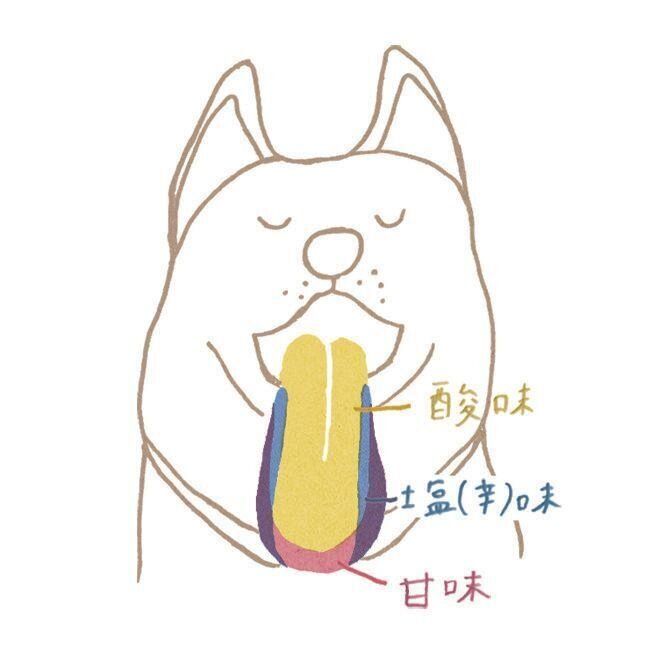 人間のように複雑な味覚はない