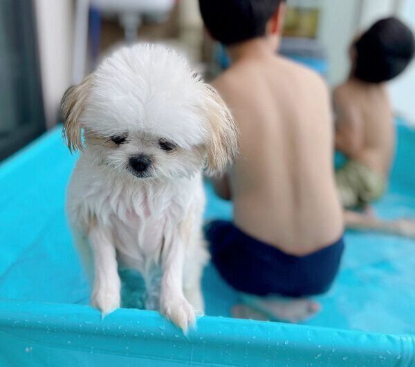 しょんぼり顔のみかんちゃん