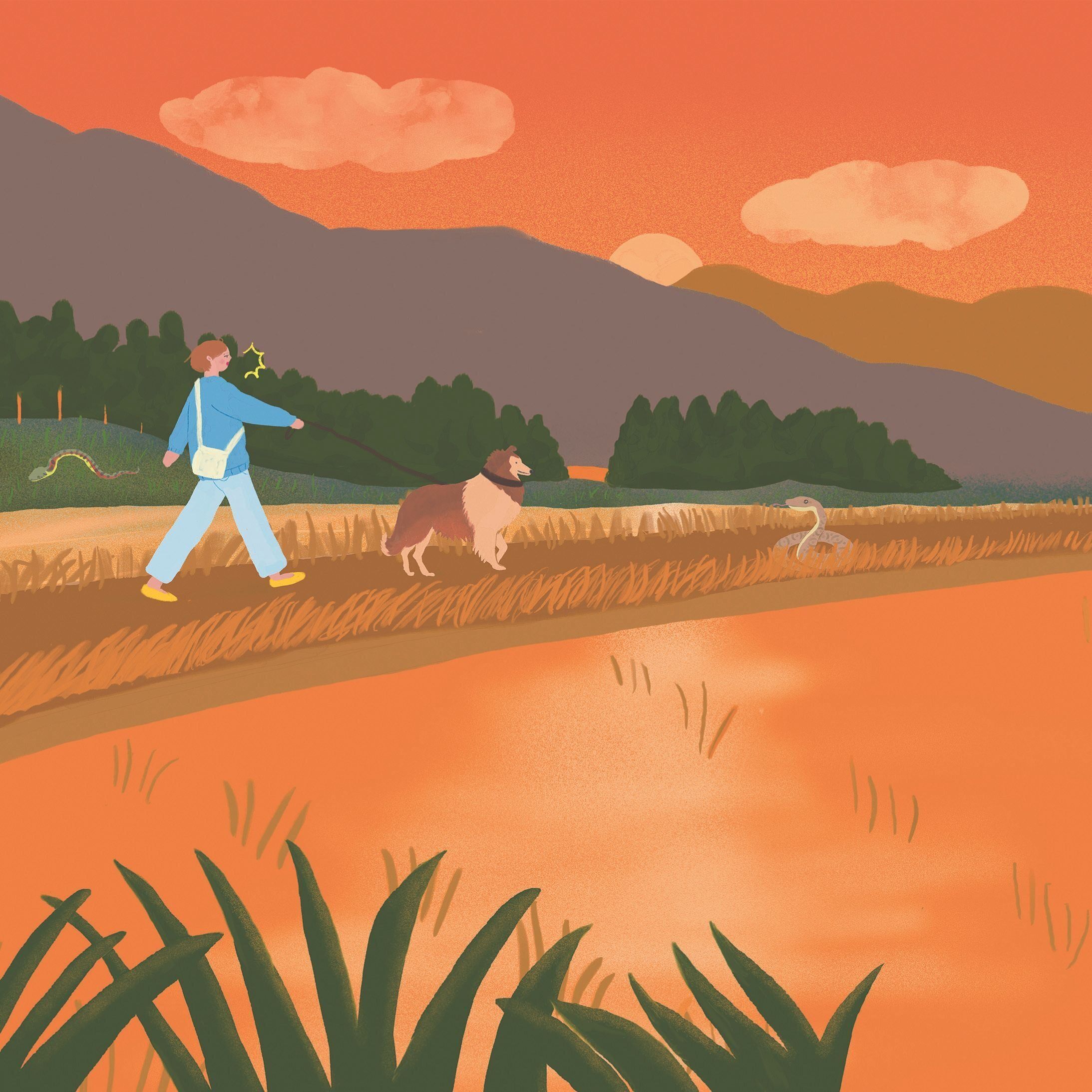 イラスト／きじまももこ