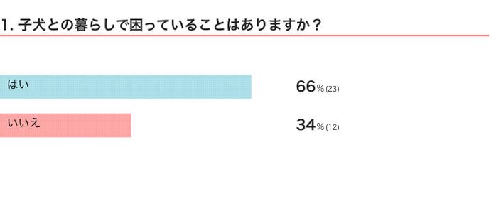 子犬との生活で困っていることはある?ない?