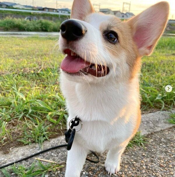 トラヴィスちゃん