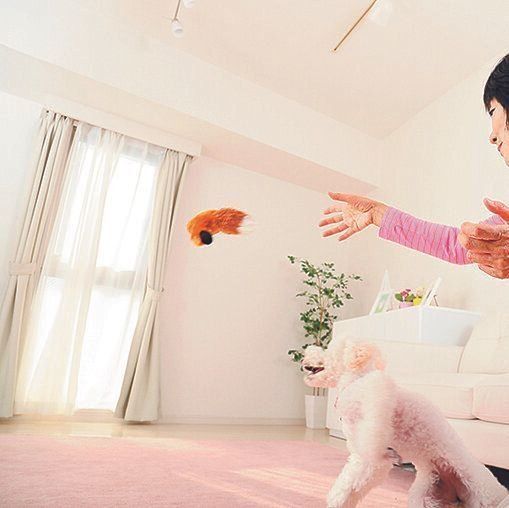 撮影/尾﨑たまき