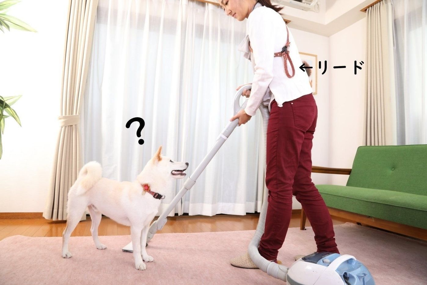 愛犬の 裏をかく のがコツ 興奮して吠える を直すテク3つ いぬのきもちweb Magazine 愛犬の 裏をかく のがコツ 興奮して吠える を直すテク3つ いぬのきもちweb Magazine