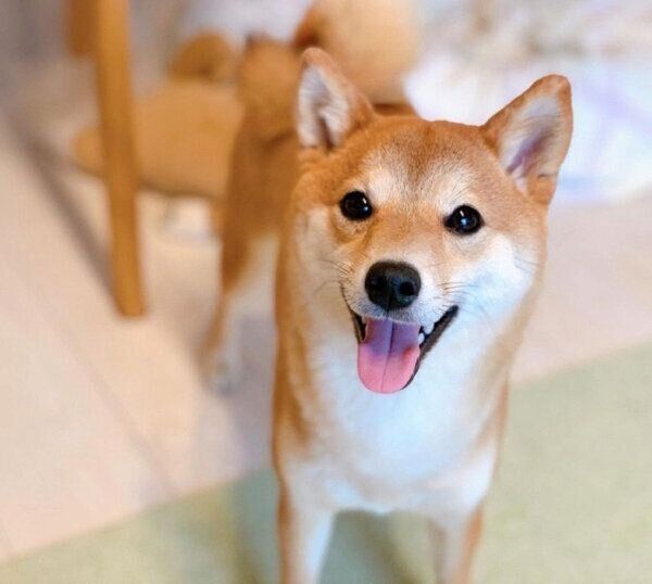 笑顔のぽたちゃん