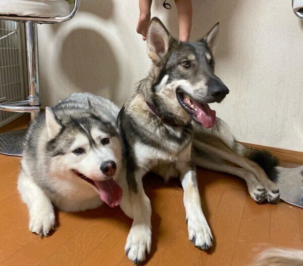 笑顔のリカルドくん、アルカちゃん