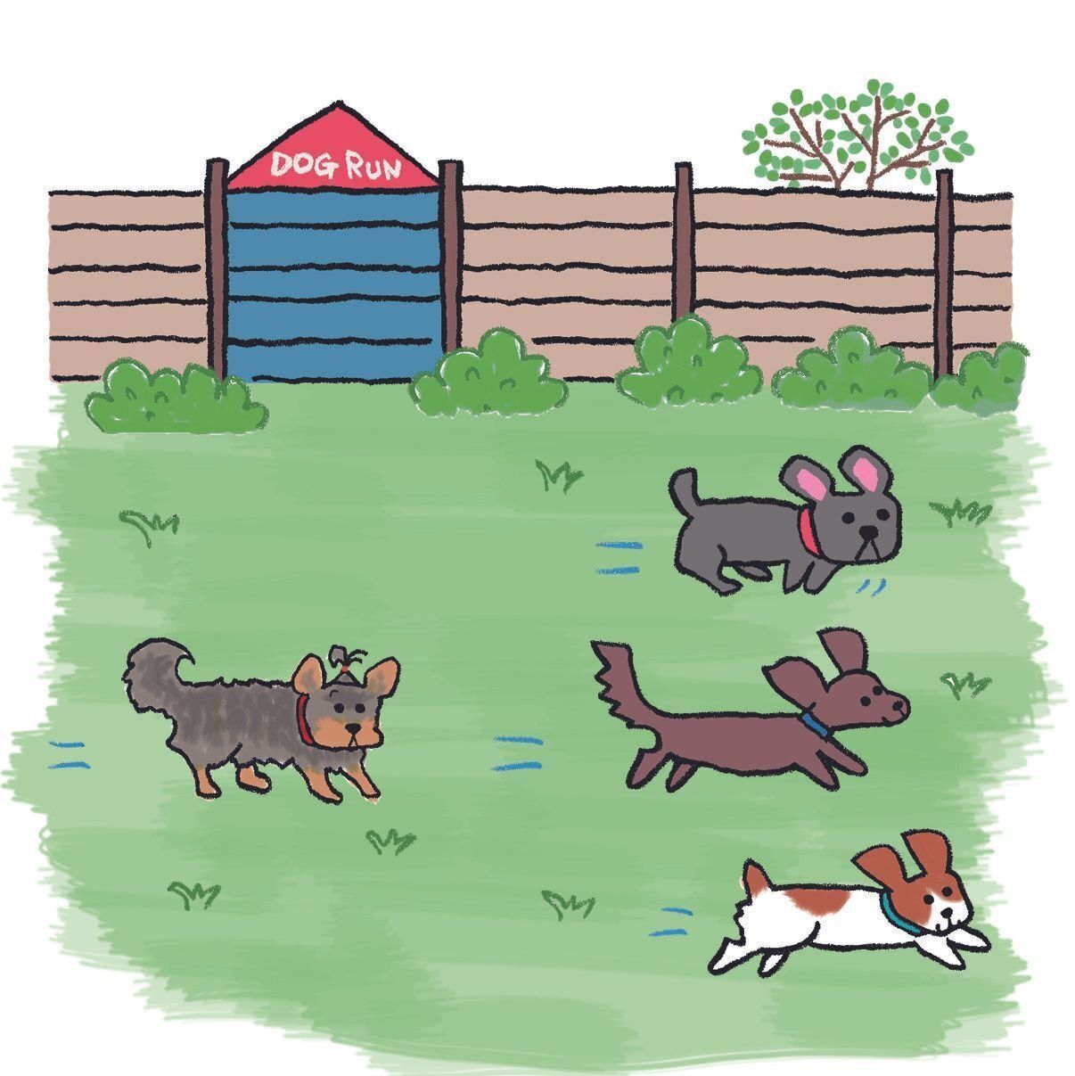 イラスト／オーツノコ