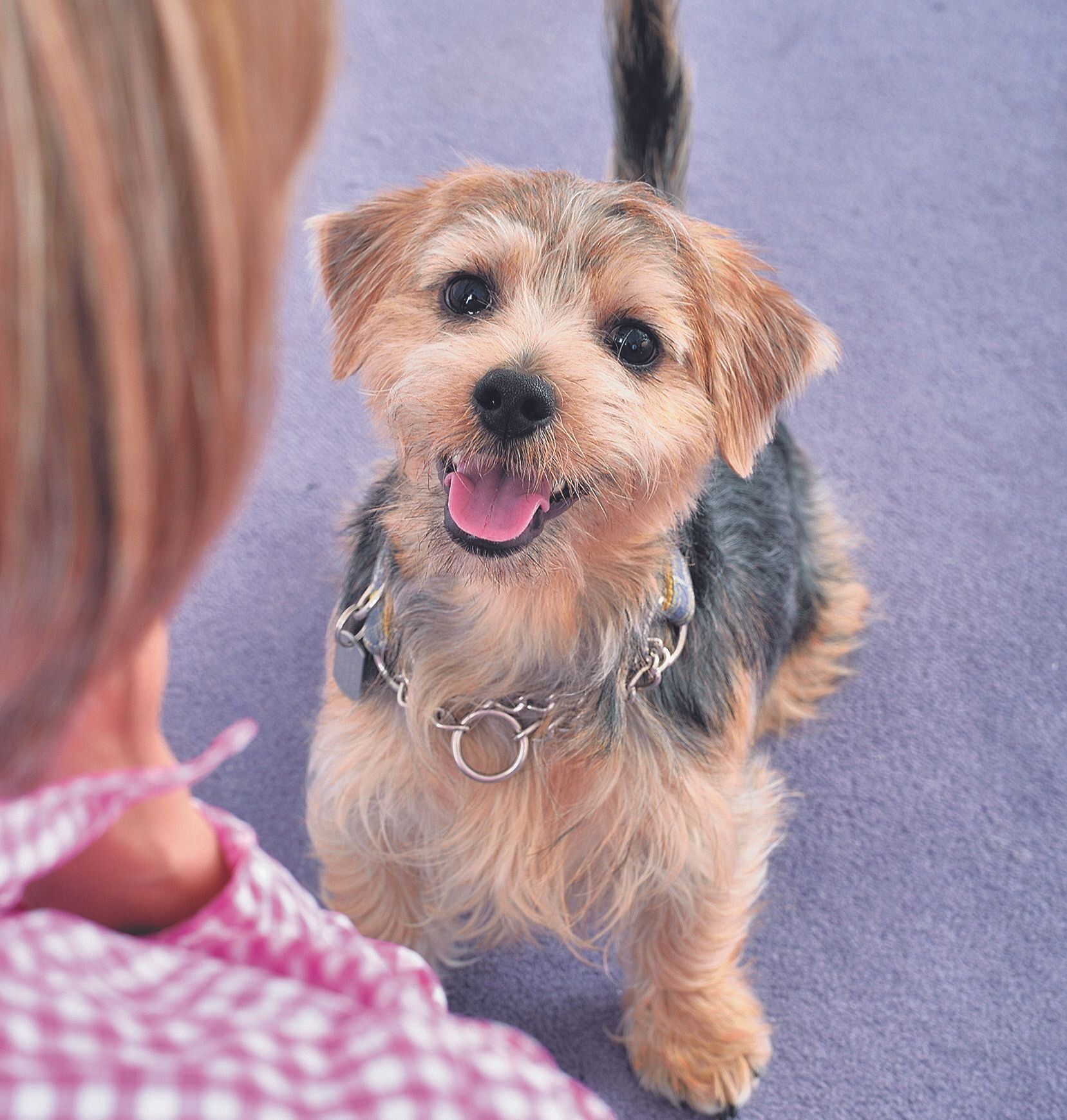 撮影／佐藤正之