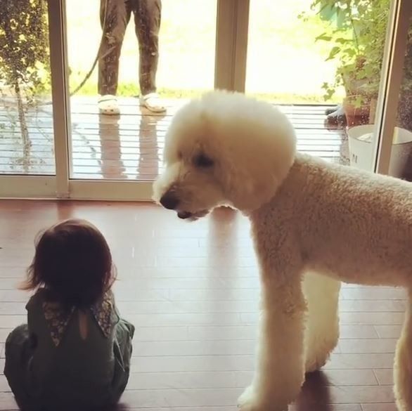 りっくんとまめちゃん