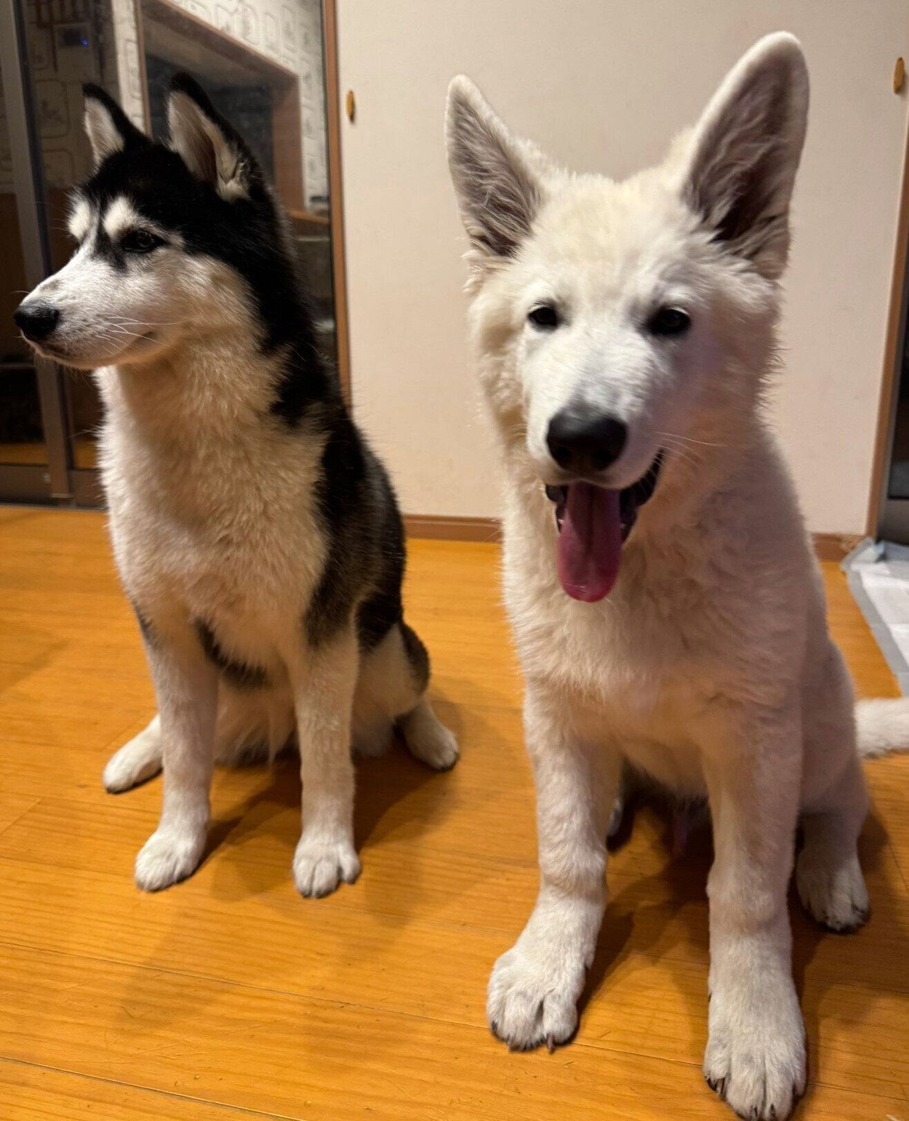 仲良しなゼロくん、ソフィちゃん