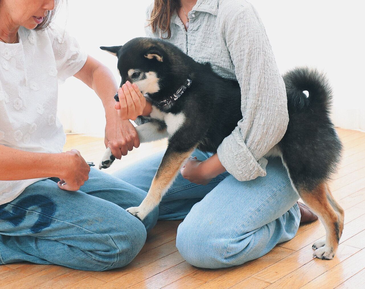 2人1組での爪切り