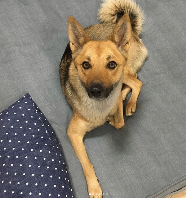 見つめるいのちゃん