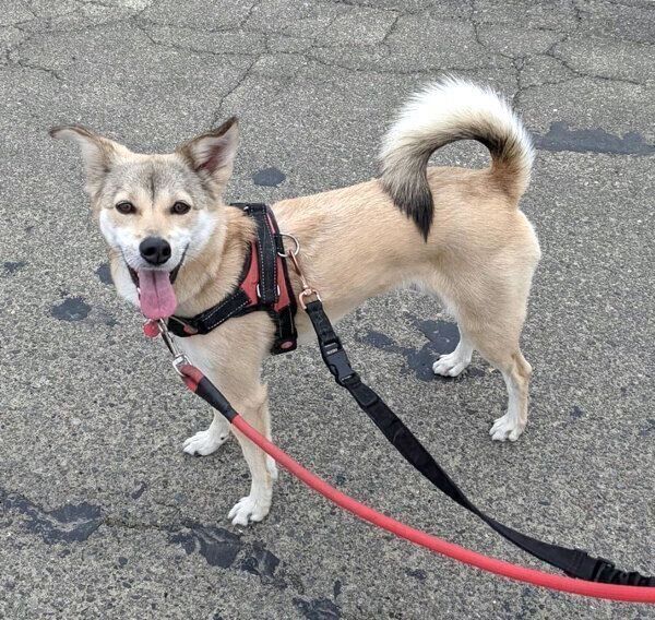 笑顔で見つめるめるちゃん