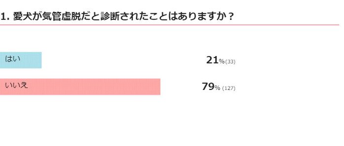 愛犬が気管虚脱だと診断されたことはある?