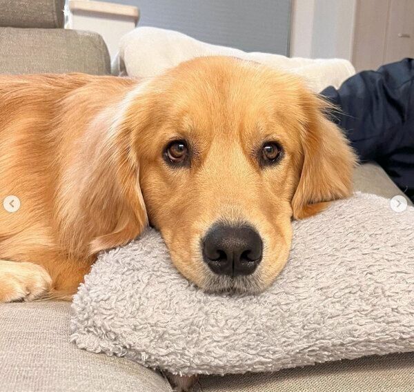 くつろぐのあちゃん