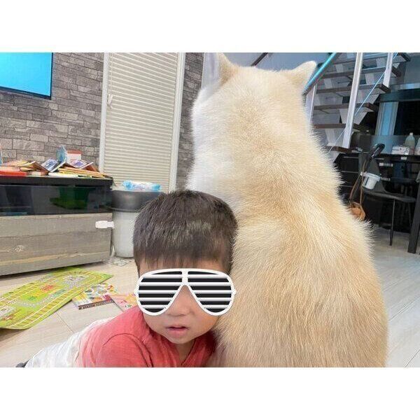 密着する凛太郎くんと息子さん