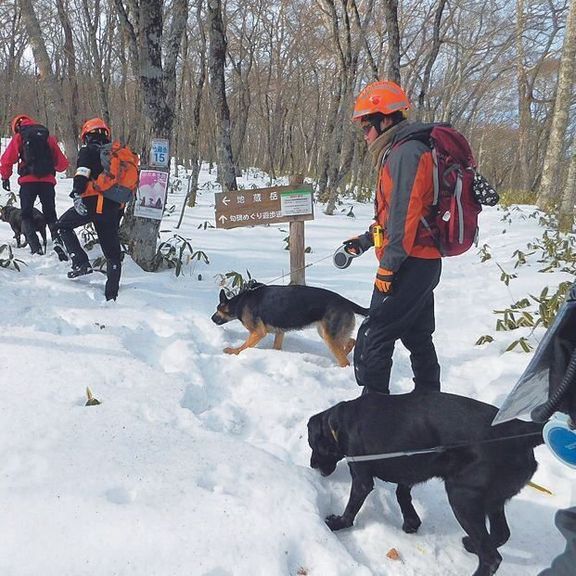 登山やハイキングで行方不明になった人を捜索することも。雪山の捜索も行います