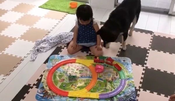 柴犬と子どもたち