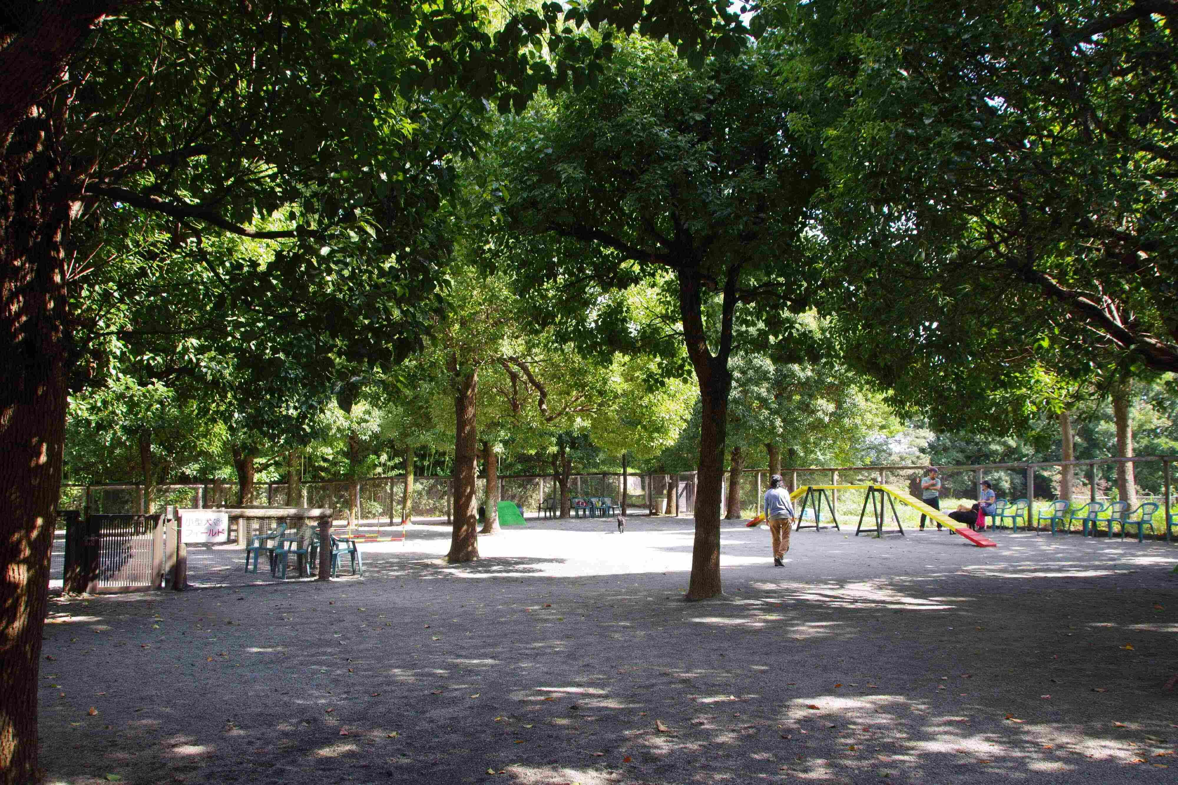 森のなかにあるようなドッグラン